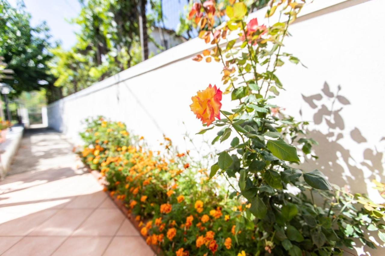Sant'Anna Bed & Breakfast Аджерола Экстерьер фото